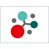 Raven51 Logo